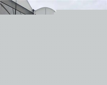 干貨：蔬菜大棚的建造方案在這里